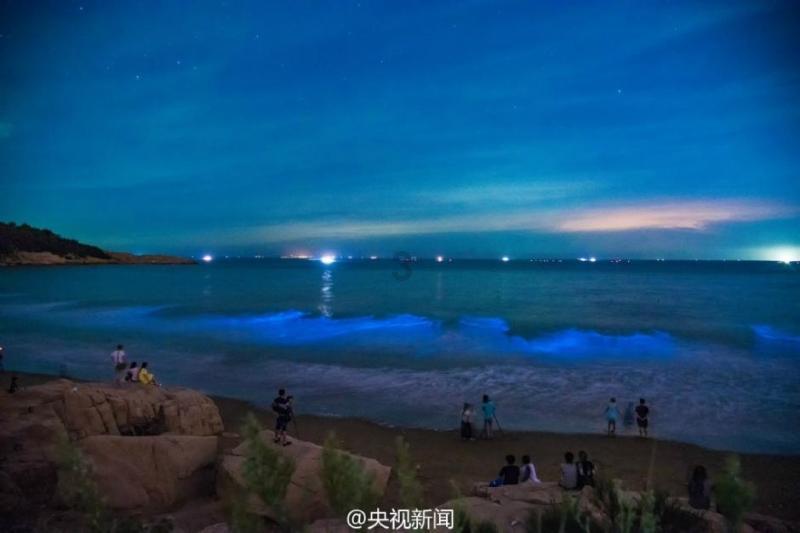 实况2019