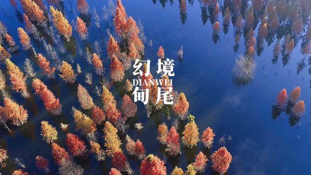 酷狗音乐的歌怎么用到快手？游戏画面