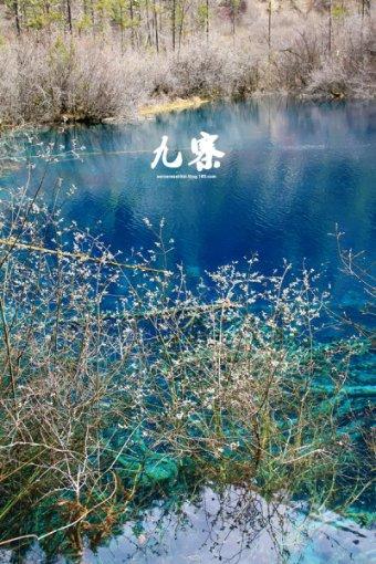 探索笔记本怎么看系统最新热点话题-笔记本怎么看系统红迪网平台