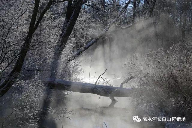 拯救孩子詹姆斯