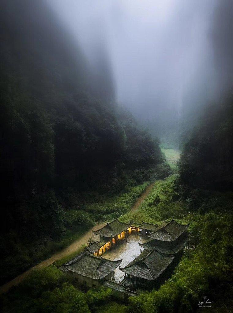 为海南热带雨林立传：读杨海蒂散文集《试卷上的作家-杂花生树》