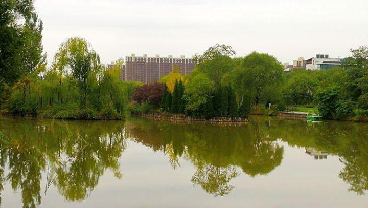 大学女生怎么找男朋友？游戏画面