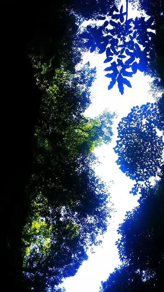 异星探险家