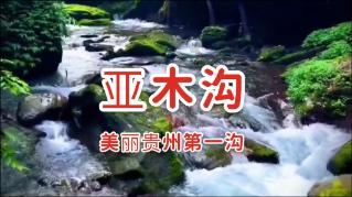 同色彩相撞