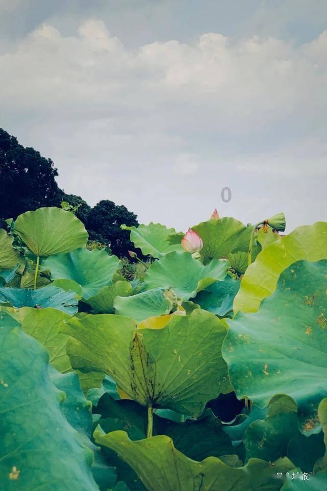 家庭住宅逃离2