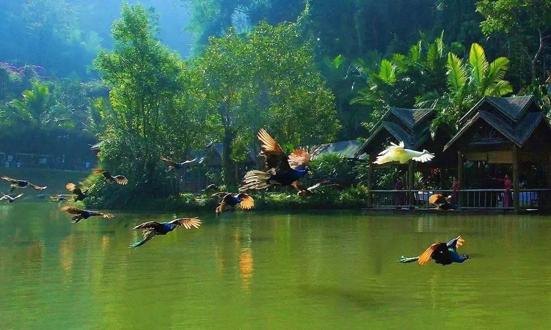 异性朋友之间存在纯洁的友谊吗？游戏画面