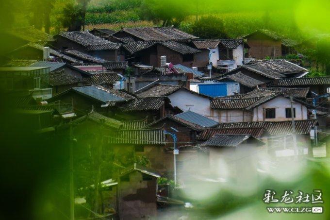 八字完全相同为何命运截然不同？游戏画面