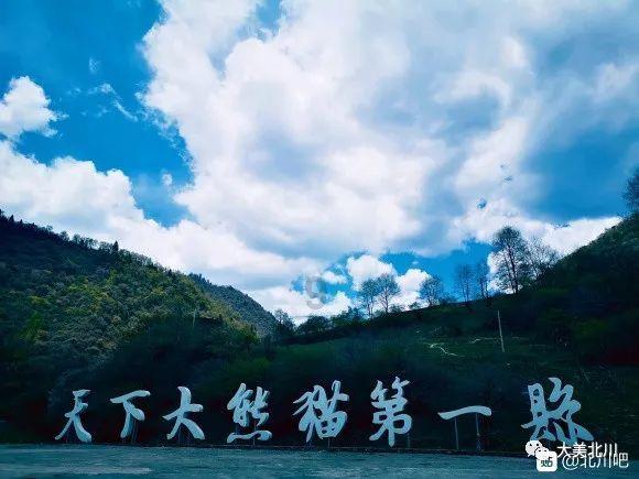 88影视
