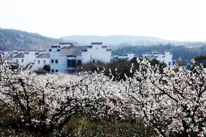 建立监管机制，守住生态红线