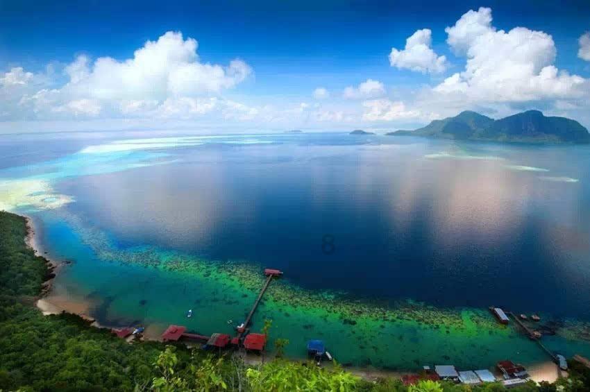 沪江开心词场