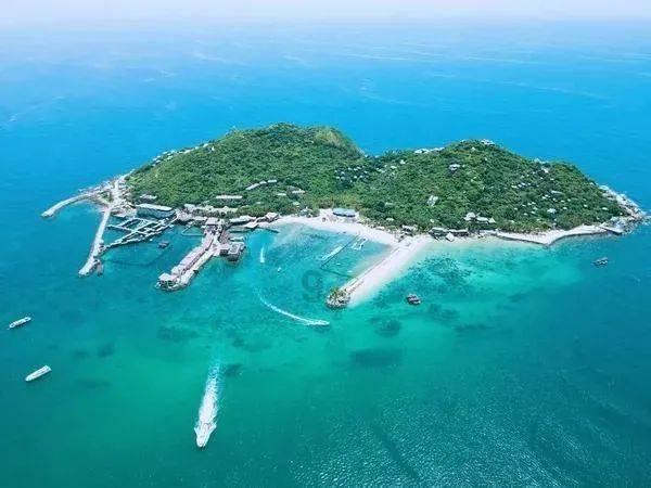 虫虫助手下载