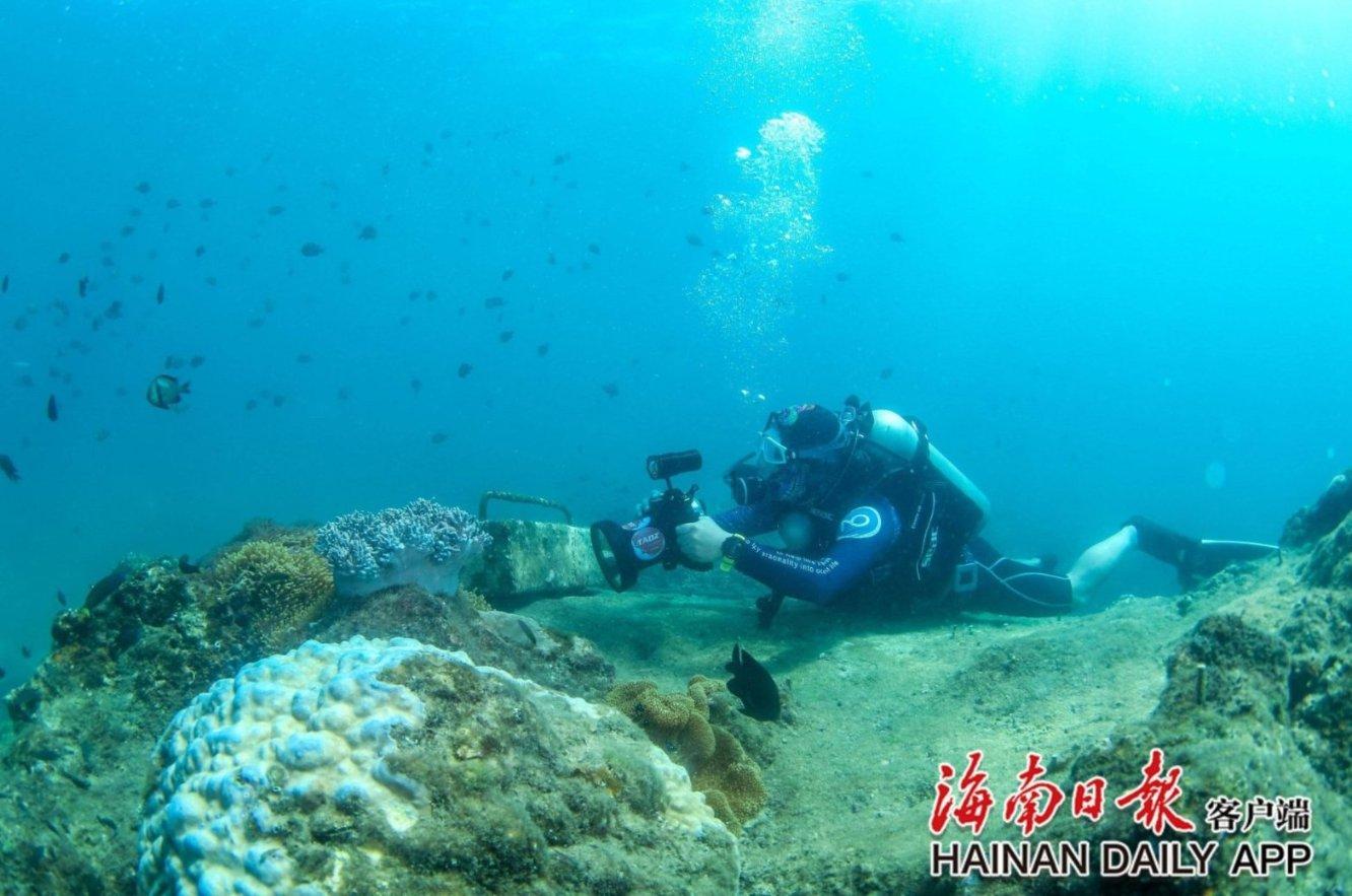 大 庆 大庆石化 碳减排每年“新种”40万亩森林