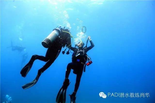 滚动的奶酪选关版