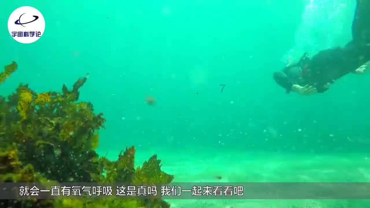 经典界面2048
