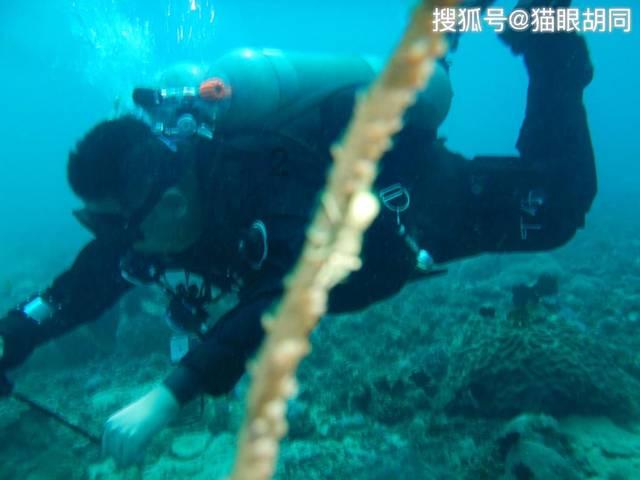 新黄金矿工