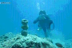 3D公共巴士停靠2