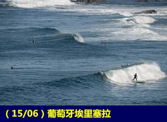 动物帮帮忙保卫家园