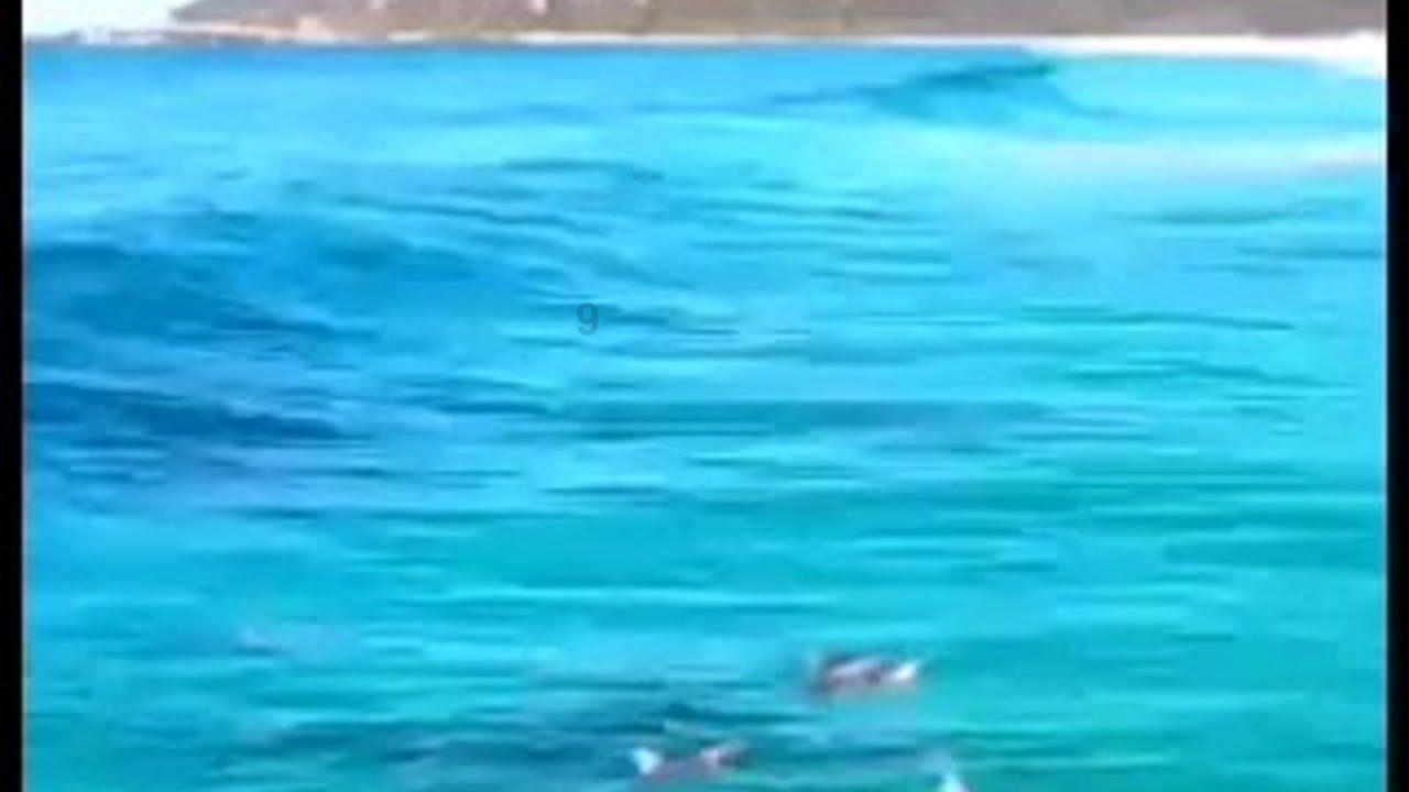 逃离牧场房子