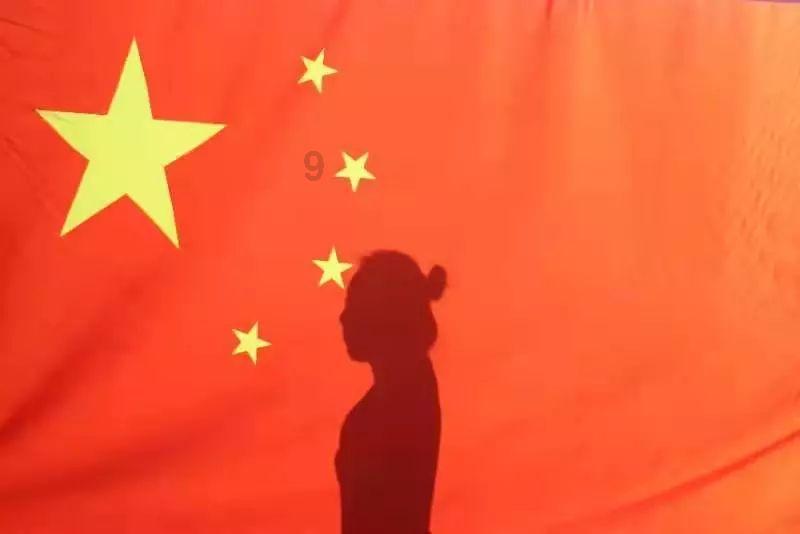救援受困的小野猫
