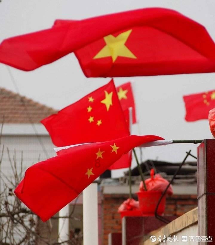 沙门氏菌相诱导用诊断血清