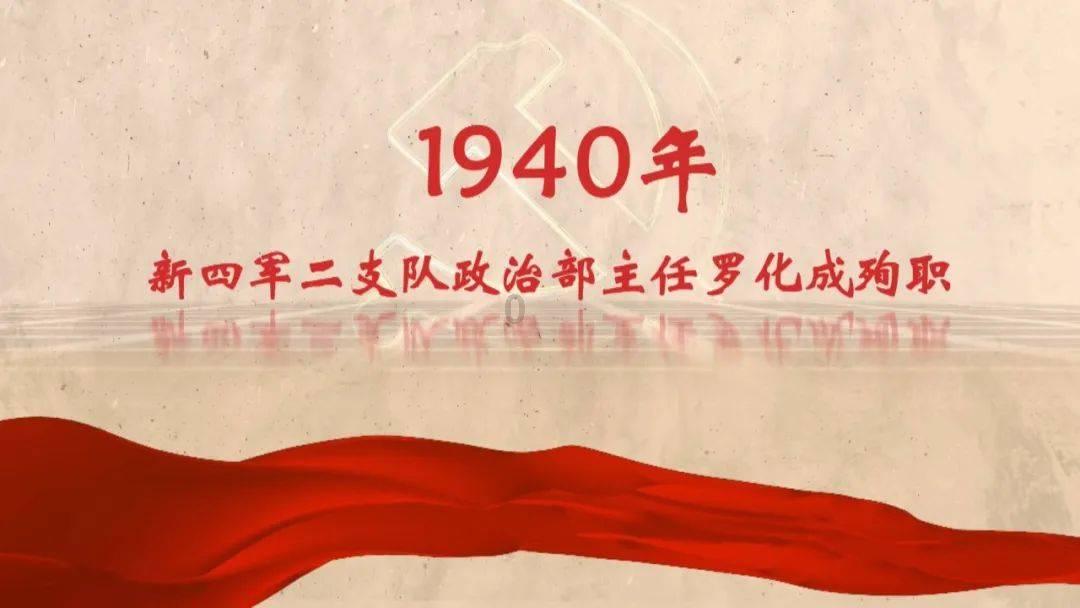 逗小猴开心系列196
