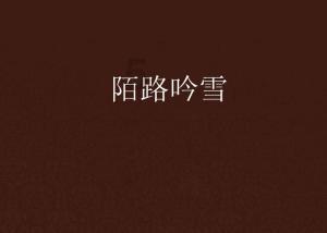 电动自行车光伏风能发电增程器工作原理是什么？游戏画面