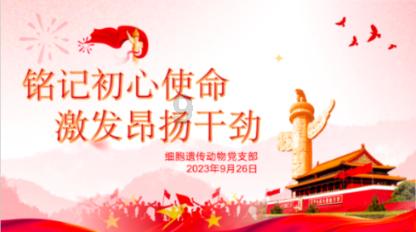全民烧脑3去广告版