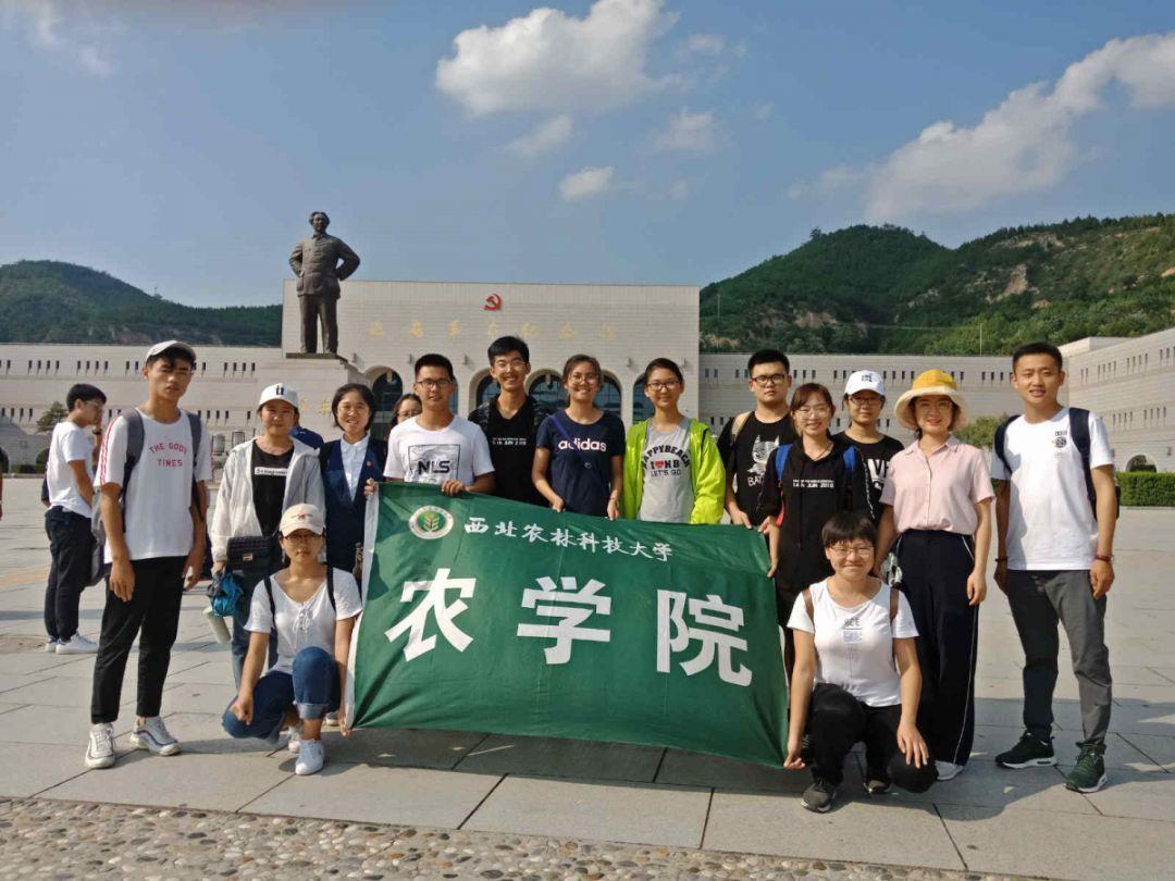 《幻兽帕鲁》游戏峰值在线人数更是跻身Steam历史前10