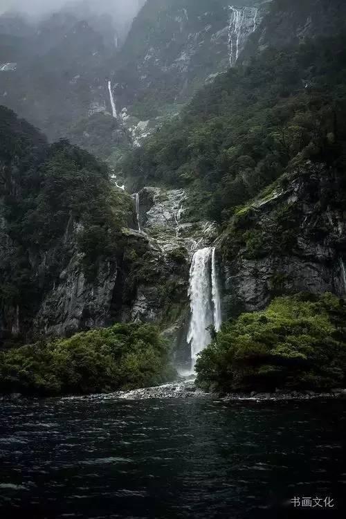 变异动物之战