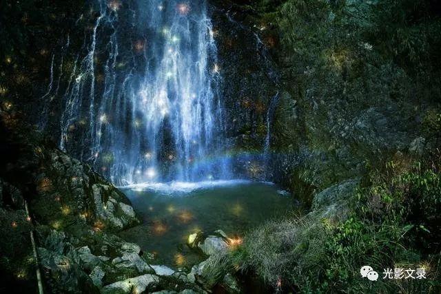 《幻兽帕鲁》朱雀佩科龙繁殖结果