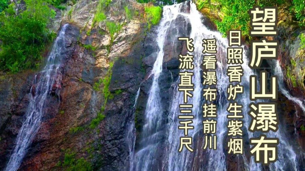 创作猫