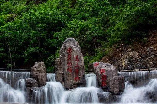 世界之最大全-互动问答专家,解决你的所有问题
