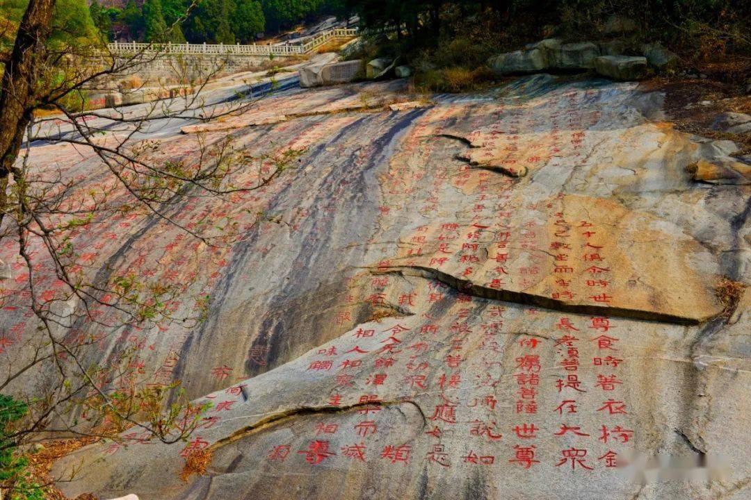 《红月手游》12月25公测开启 攻略站丨角色前期1~100级「快速升级」方式技巧！
