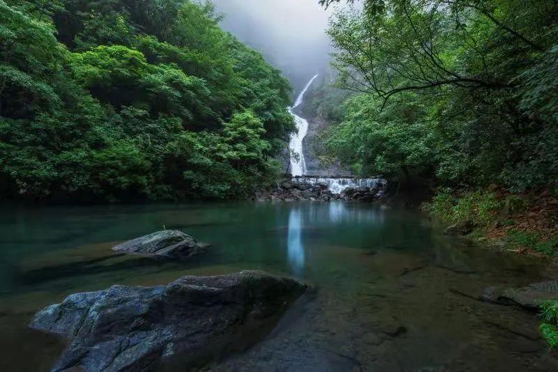 北京:“智慧灌溉”让草莓更甜蜜