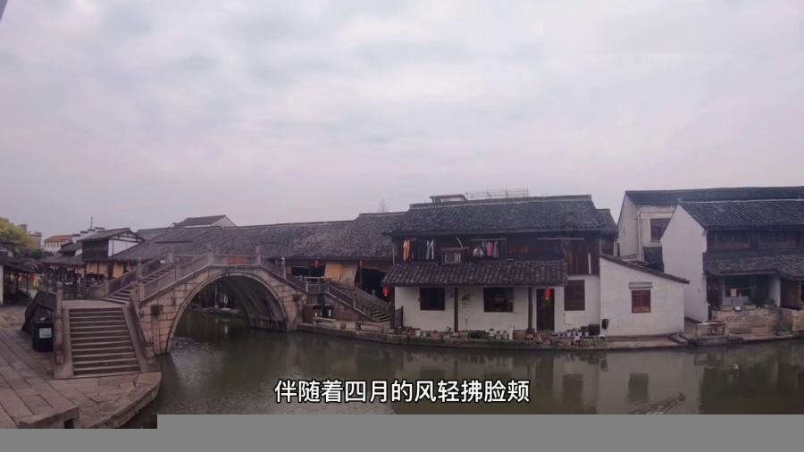 小猫钓鱼游戏龙王版有船