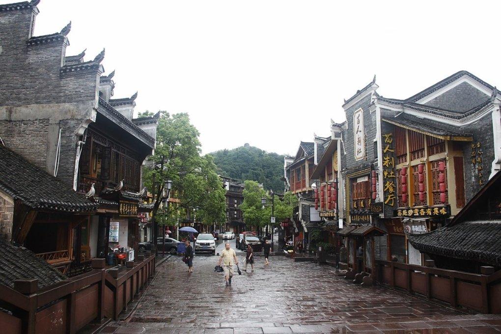 学习插花艺术