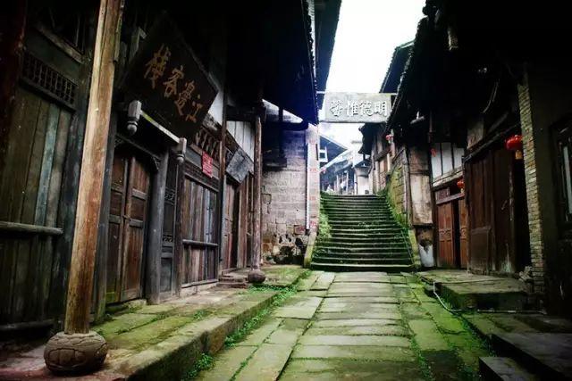 生化危机：浣熊市行动