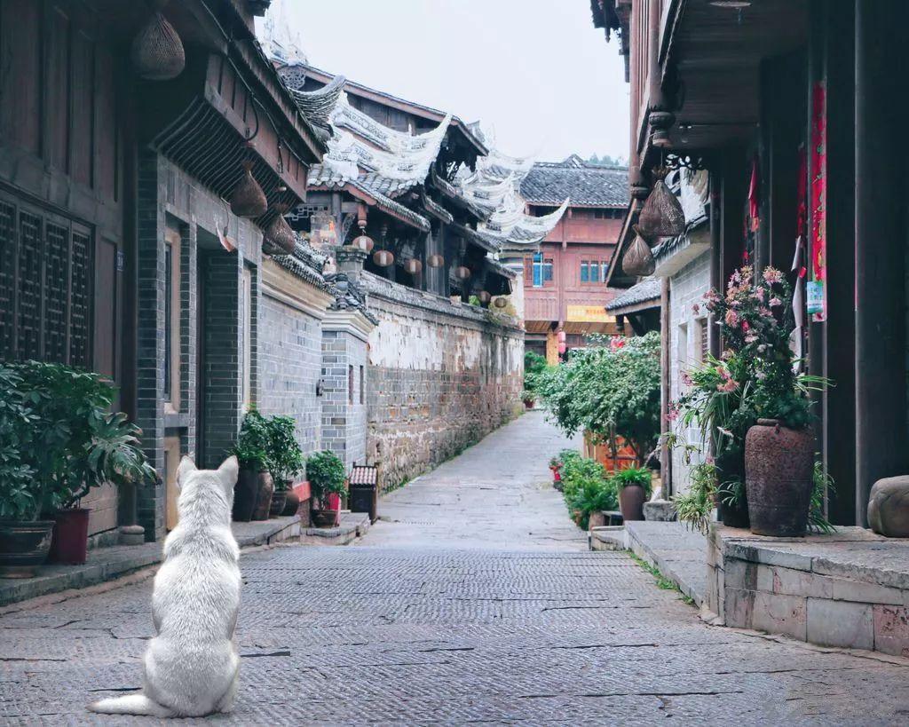 一夜暴富不再是梦？