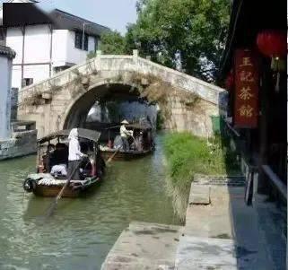 救援狗与猫