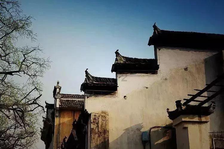 《狂飙》唐晓虎不爱老婆,他的白月光是高启兰?-最好的问答类网站