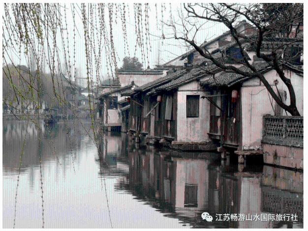 铁猫寺!山西发现“圣火猫猫教”总部!