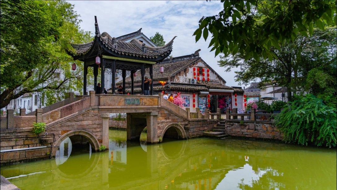 逃离水虎鱼湖
