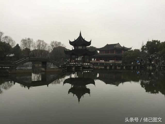 植物大战僵尸10