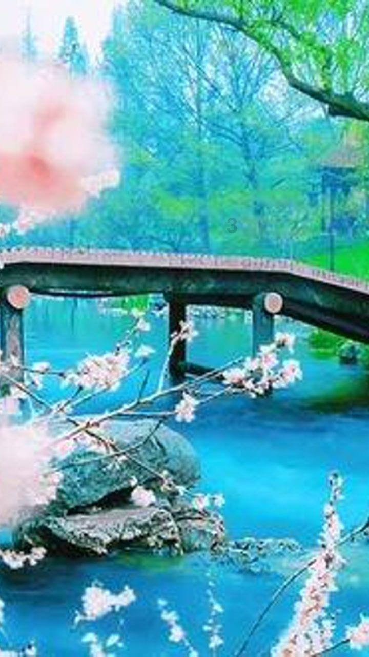 哪里可以找到陨石？游戏画面