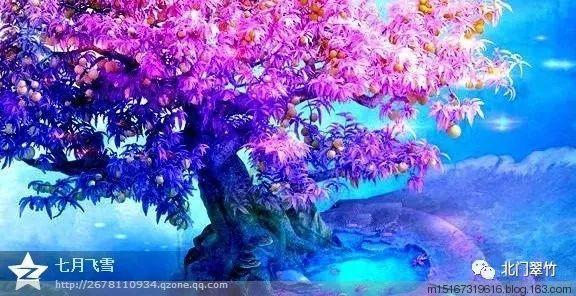 寻找遗失的车钥匙