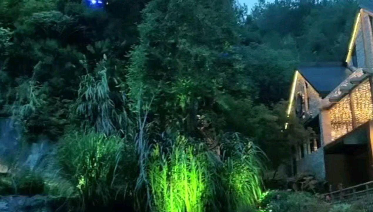 夏日时尚的爱丽